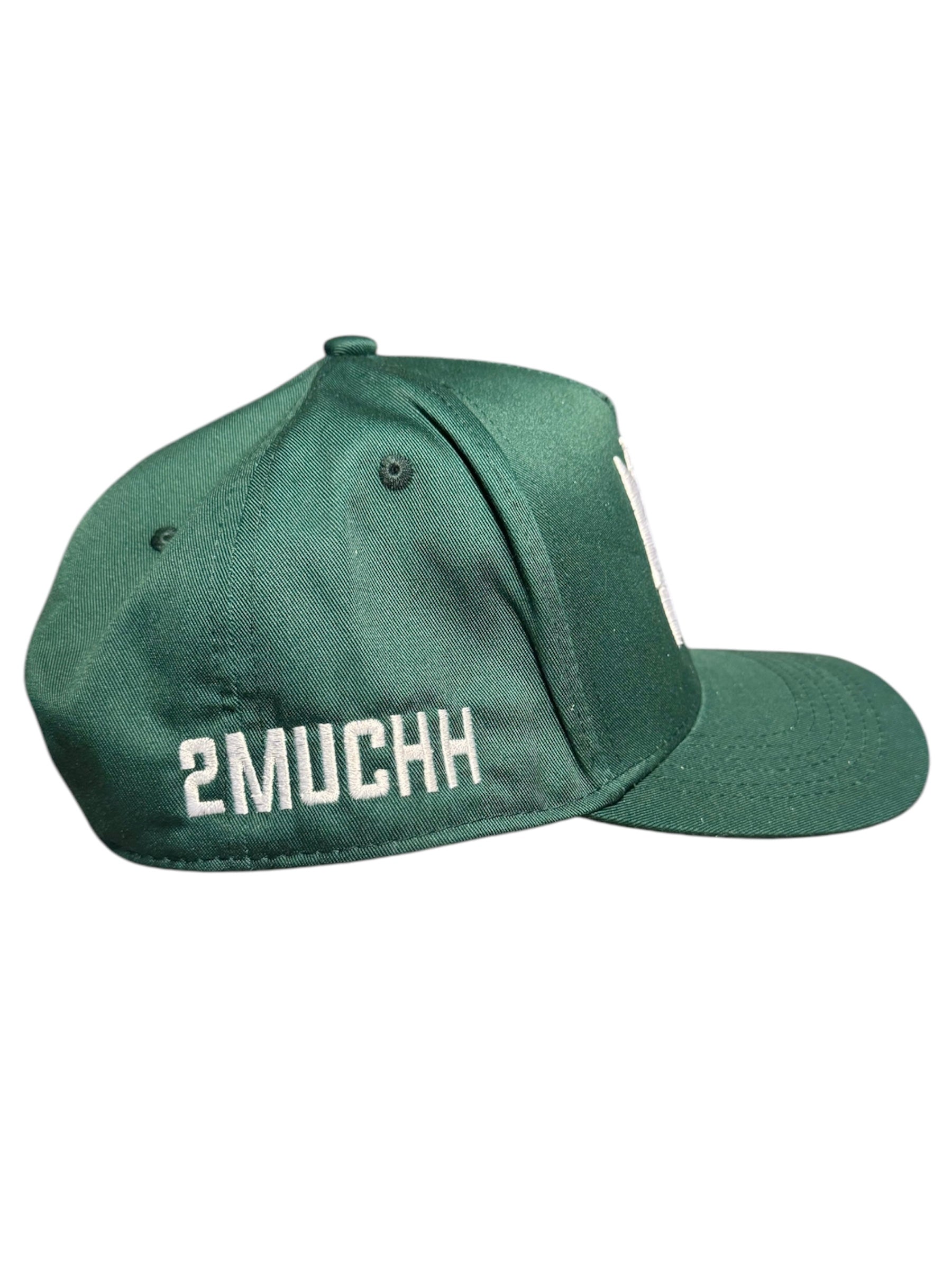 2MUCHH “THE LOGO” SNAPBACK HAT